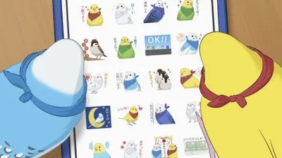 Parakeet Colors Line Stamp Promotion