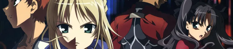 New Fate/stay night Alternate Version Announced