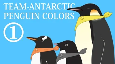 Antarctic Penguin Colors