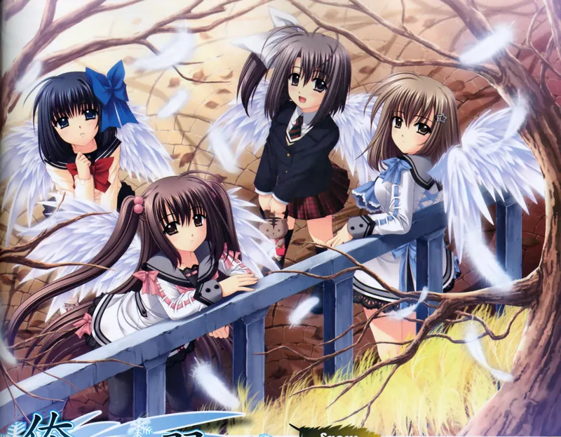 Ecchi Harem Serisi "We Without Wings" Artık Crunchyroll ve Hulu'da Yayında