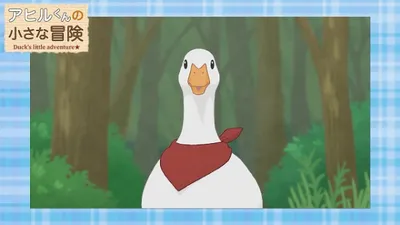 Duck's Little Adventure