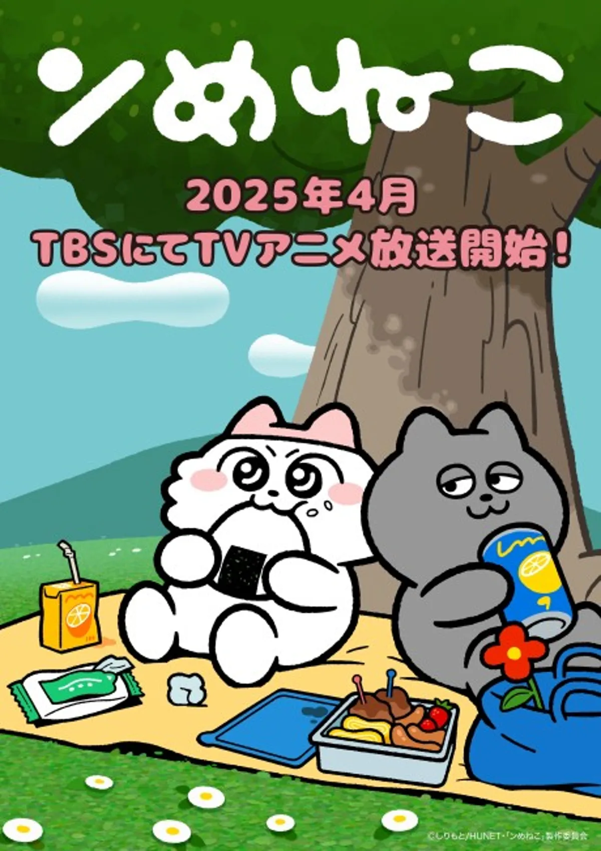 Nmeneko Anime İlk Fragmanıyla Kedi Komedisini Tanıttı