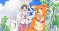 SkySet Entertainment to Stream, Dub Go Forward Anime