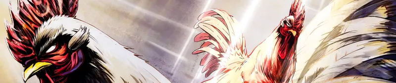 Rooster Fighter Anime Set for Spring 2026 Debut