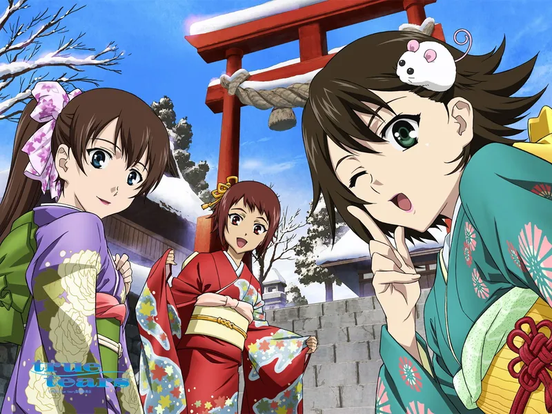 True Tears, Crunchyroll ve Hulu'da Yayında