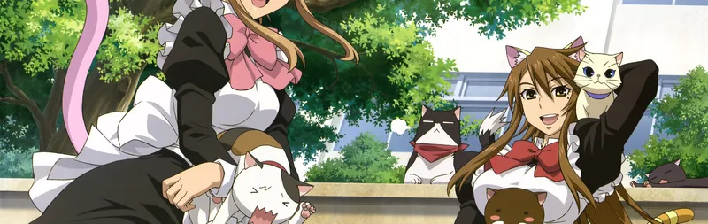 Nyan Koi! Artık HIDIVE ve Hulu'da Yayında