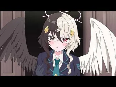 Video 2