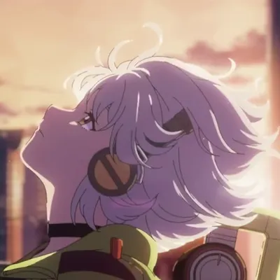 Destiny: Zenless Zone Zero Anniversary